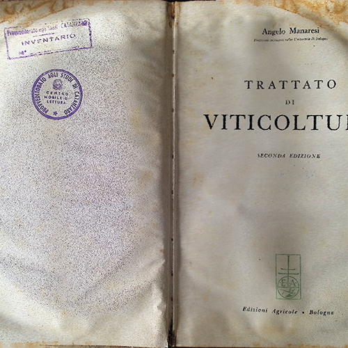 Trattato di Viticultura Parte I ESP_capitolo.png