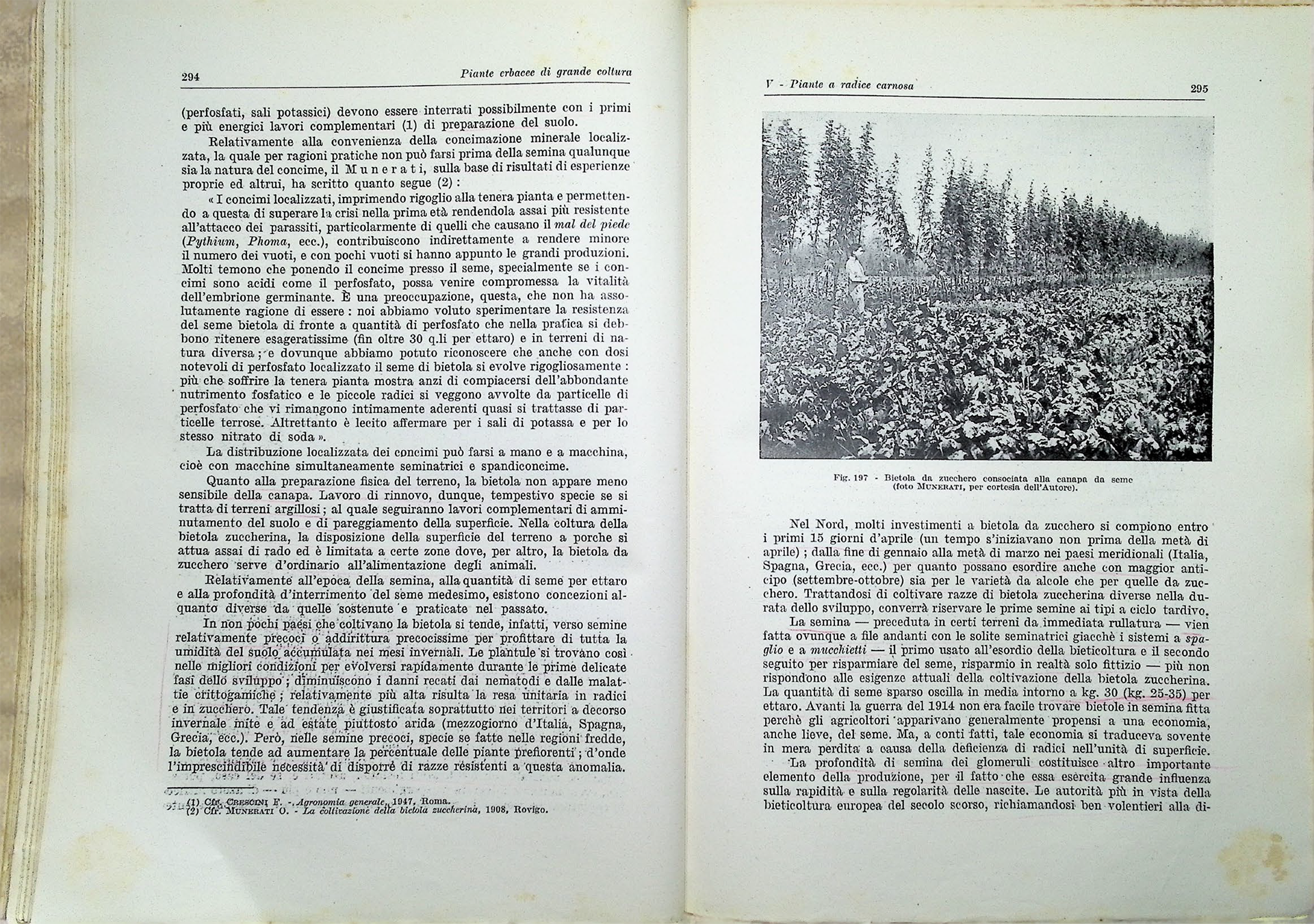Piante Erbacee di grande coltura Parte II ESP_ante_pdf.png