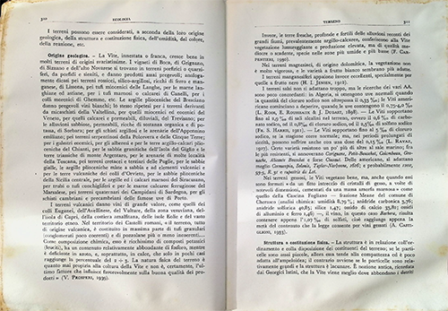 Trattato di Viticultura Parte II ESP_capitolo.png